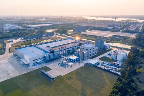 燕麥奶巨頭Oatly 2021年財(cái)報(bào)解讀 總收入超6億美元，為何能超越市場預(yù)期？